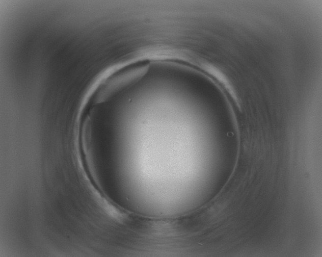 X0000082961472200702081703