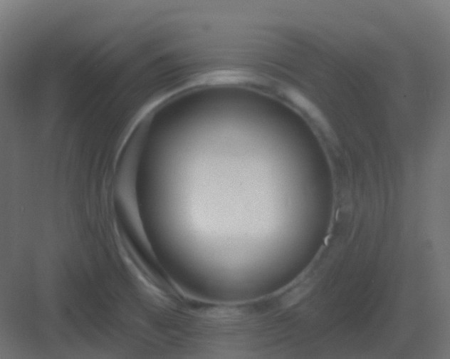 X0000082961473200702081703