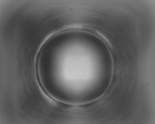 X0000082961475200702081703