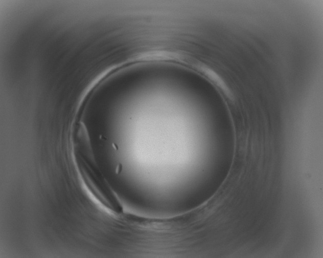 X0000082961476200702081703