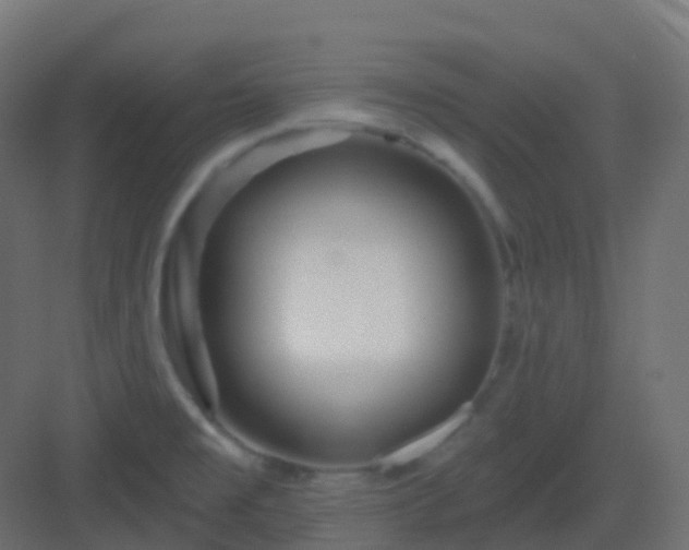 X0000082961477200702081703