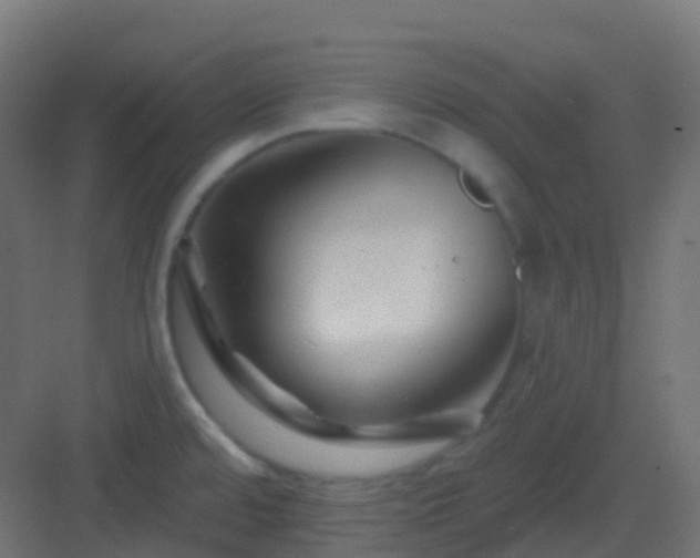 X0000082961480200702081702