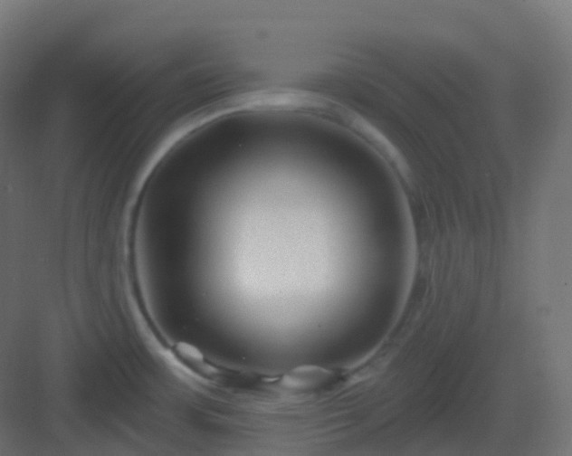 X0000082961483200702081702
