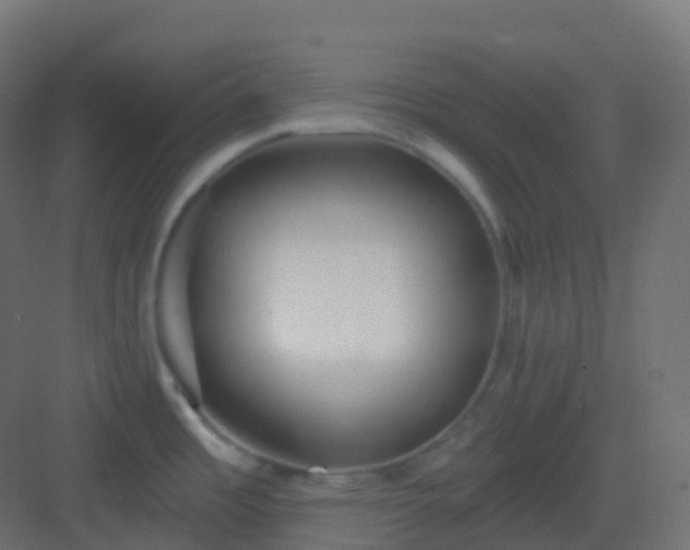 X0000082961485200702081702