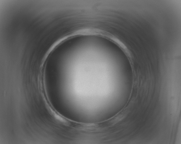 X0000082961486200702081702