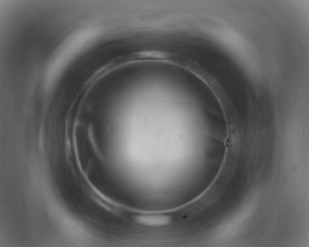 X0000082961487200702081702