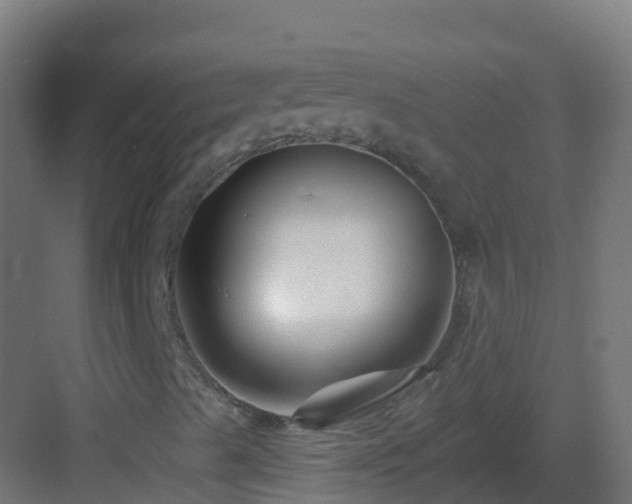 X0000082961489200702081702