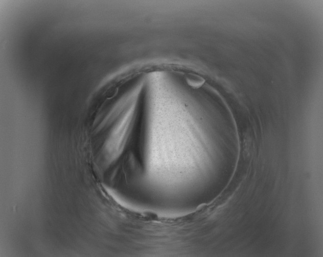 X0000082961494200702081702