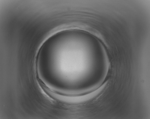X0000082961516200702081702