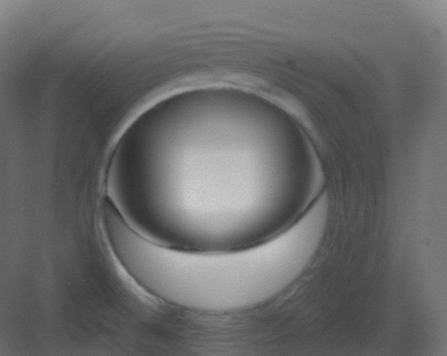 X0000082961524200702081702