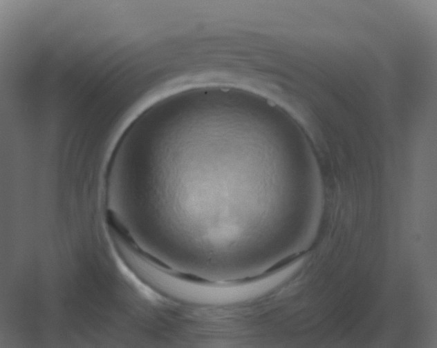 X0000082961527200702081702