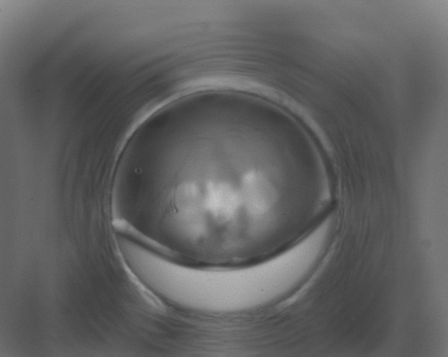 X0000082961529200702081702
