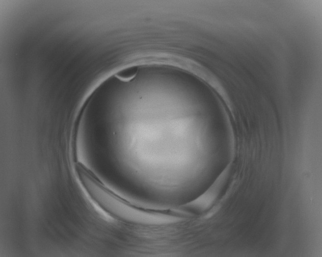 X0000082961533200702081702