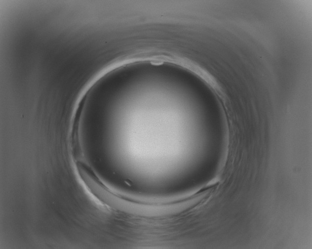 X0000082961536200702081702