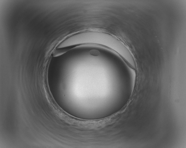 X0000082960001200702152318