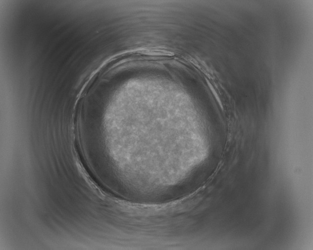 X0000082960002200702152318