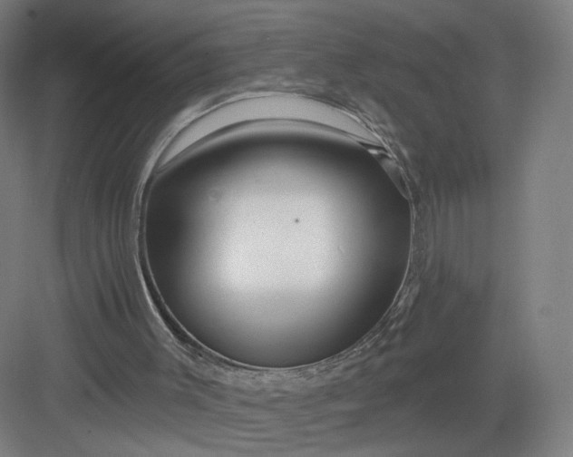 X0000082960003200702152318