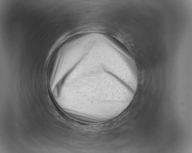 X0000082960004200702152318