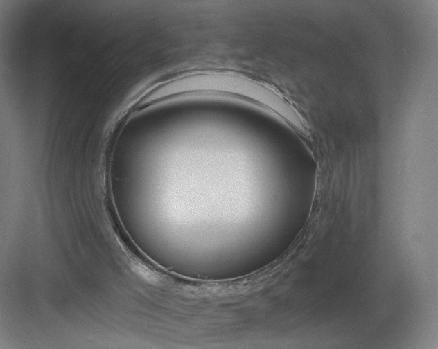 X0000082960005200702152318