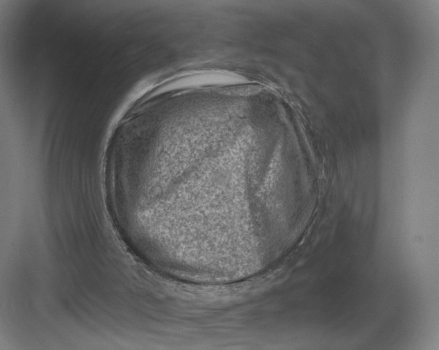 X0000082960006200702152318