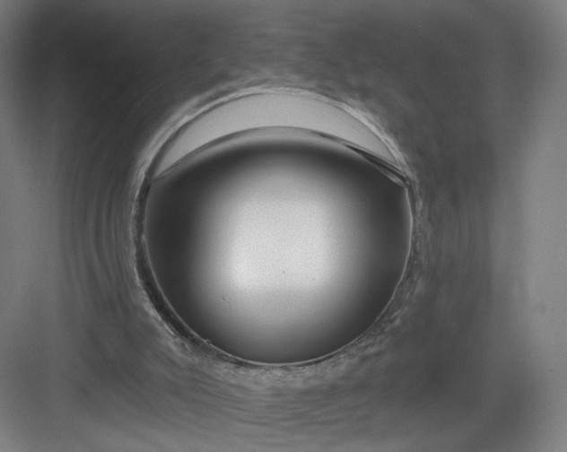 X0000082960007200702152318