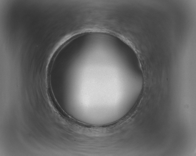 X0000082960008200702152318