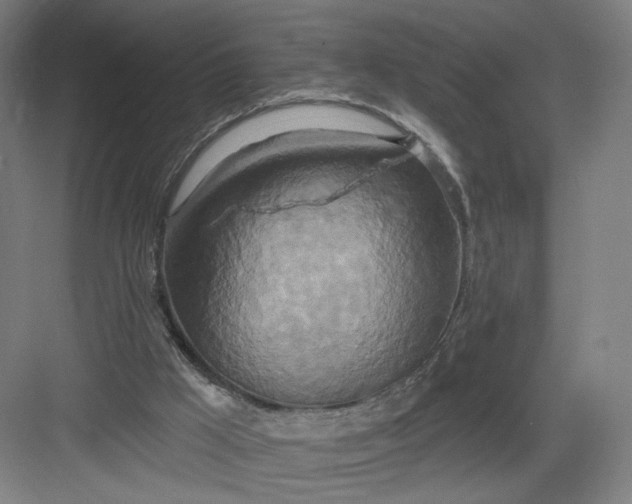 X0000082960009200702152318