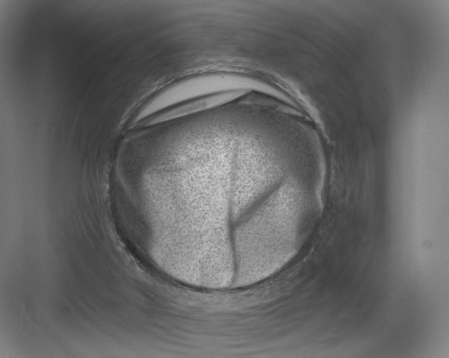 X0000082960010200702152318