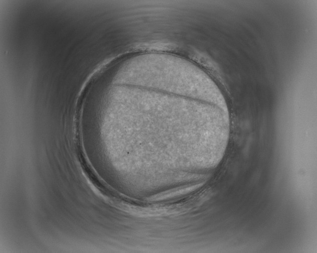 X0000082960012200702152318