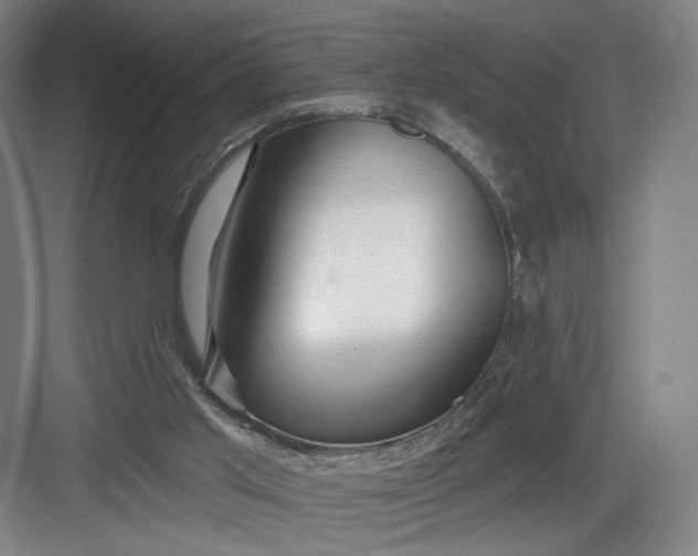 X0000082960013200702152318