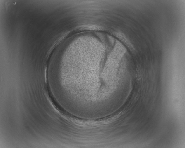 X0000082960014200702152318