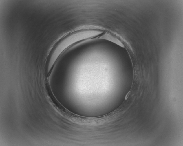 X0000082960015200702152318