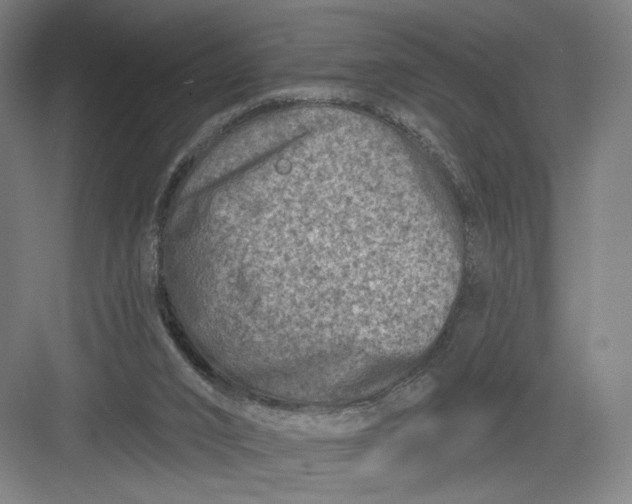 X0000082960016200702152318