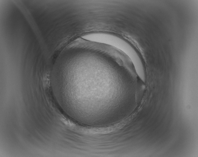 X0000082960017200702152318