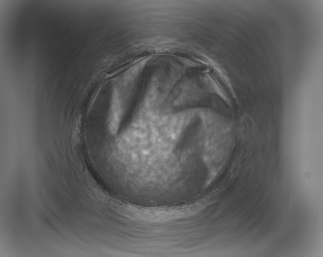 X0000082960018200702152318