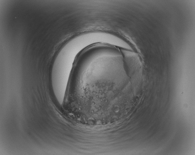 X0000082960019200702152318