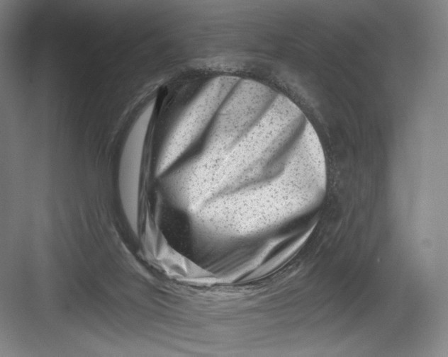 X0000082960020200702152318