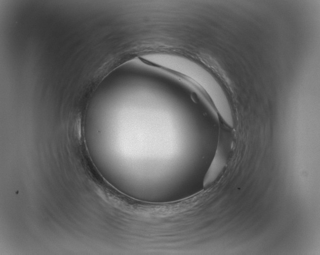 X0000082960021200702152317