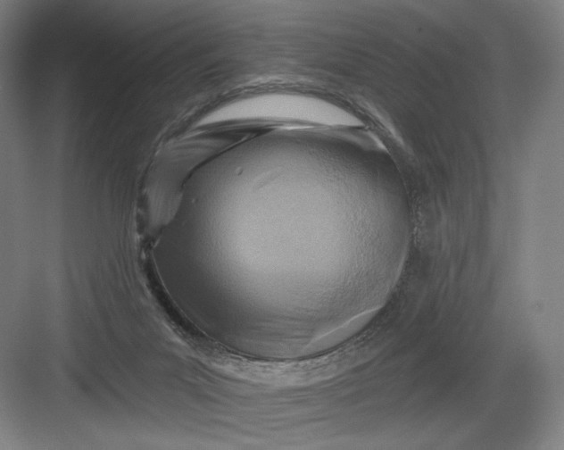 X0000082960023200702152317