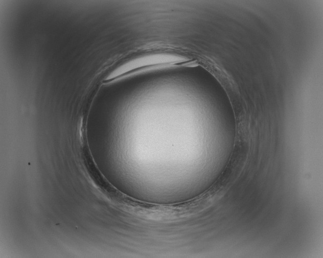 X0000082960024200702152317