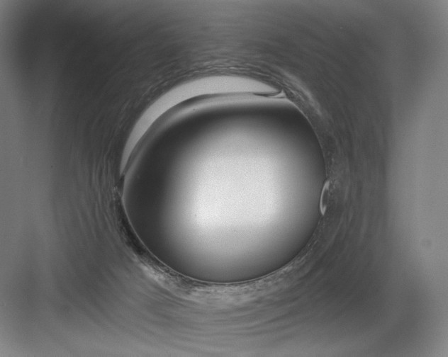 X0000082960025200702152317