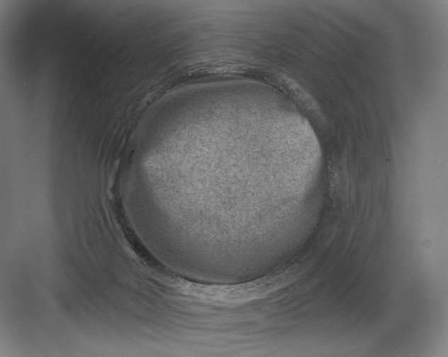 X0000082960026200702152317