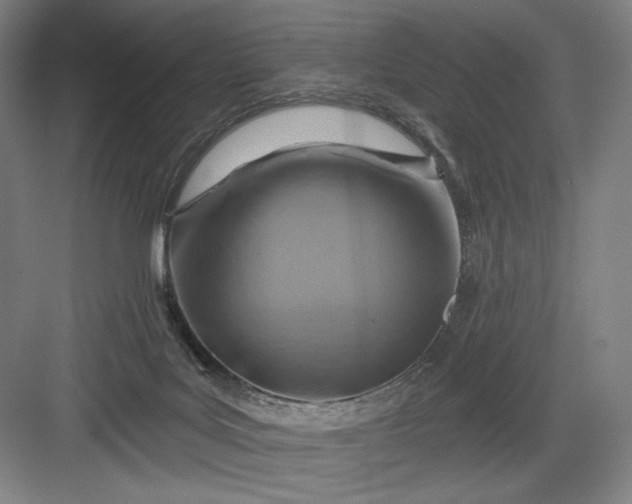 X0000082960027200702152317