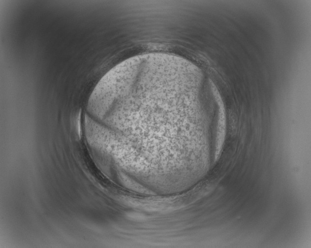 X0000082960028200702152317