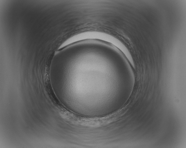 X0000082960029200702152317