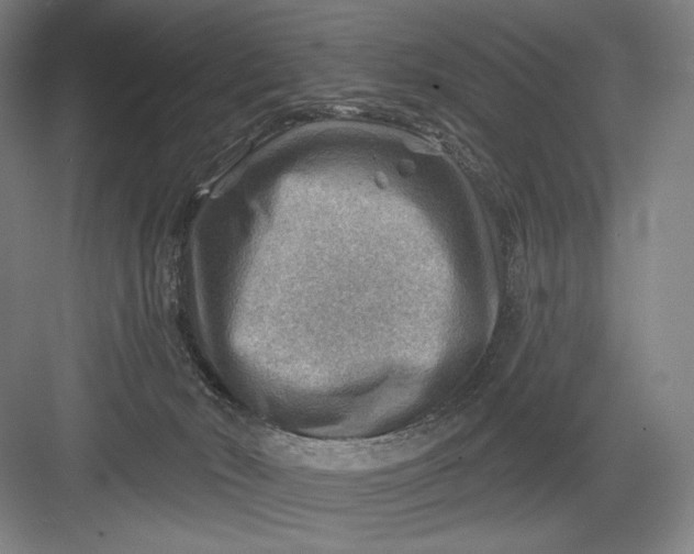 X0000082960030200702152317