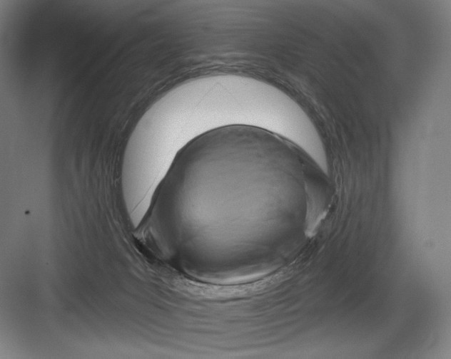 X0000082960031200702152317