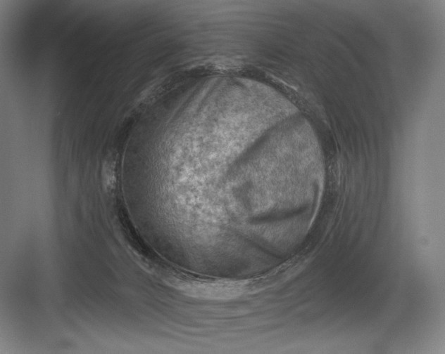 X0000082960032200702152317