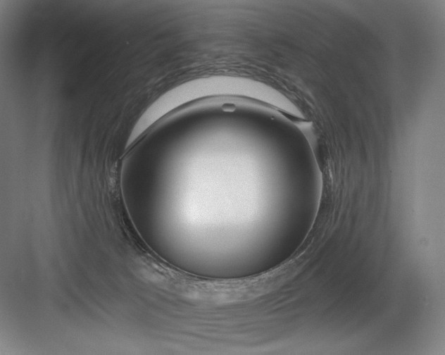 X0000082960033200702152317