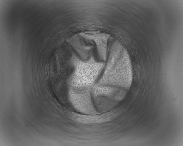 X0000082960034200702152317